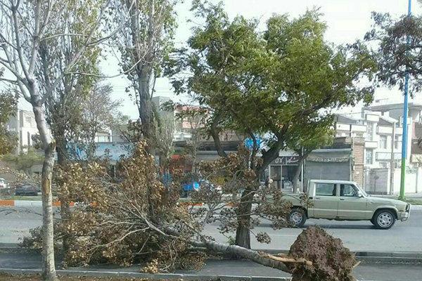 تندباد شدید شهرکرد را درنوردید تندباد شدید شهرکرد را درنوردید
