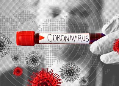 استاد دانشگاه علوم پزشکی شهیدبهشتی پاسخ می دهد ، چگونه ابتلا به ویروس کرونا را دور بزنیم؟