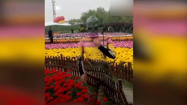 این گل ها آدم است! این گل ها آدم است!