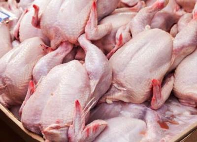 خداحافظی با مرغ 63 هزار تومانی، دلیل نایابی مرغ در بازار چیست؟