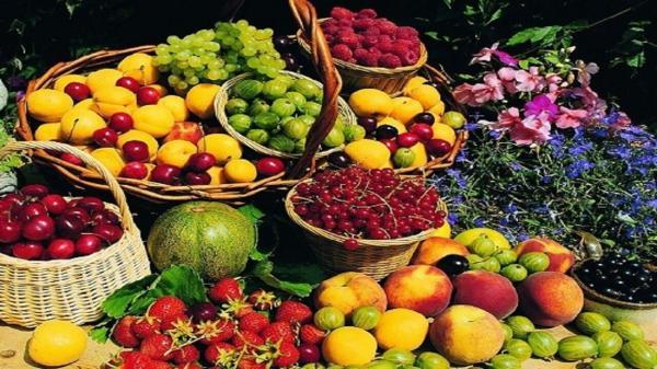 افت قابل توجه قیمت نوبرانه ها ؛ گرانترین و ارزانترین میوه های بازار کدامند؟ ، قیمت روز زردآلو، گیلاس، هلو، موز، ملون، انبه و آناناس را ببینید
