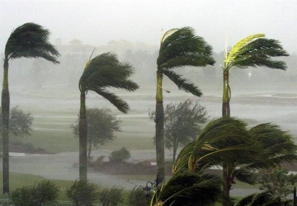 هشدار طوفان به 2 استان ساحلی؛ وزش باد شدید و ارتفاع امواج دریا